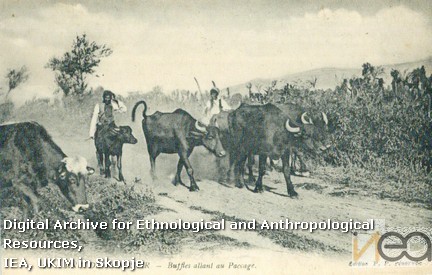 dРазгледница-68/Postcard-68